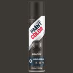 Tinta-Spray-Uso-Geral-Grafite-350ml-Paintcolor