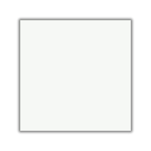 Piso RT 170.043 Retificado Brilhante Branco 56x56cm 2,27m2
