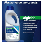 Algicida-Choque-e-Manutencao-Frasco-1L-Piscina-Astralpool