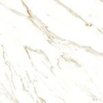 Piso-Calacata-Gold-Retificado-Polido-Branco-100x100cm-200m2