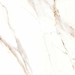 Piso-Calacata-Gold-Retificado-Polido-Branco-56x56cm-221m2