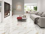 Piso-Calacata-Gold-Retificado-Polido-Branco-56x56cm-221m2