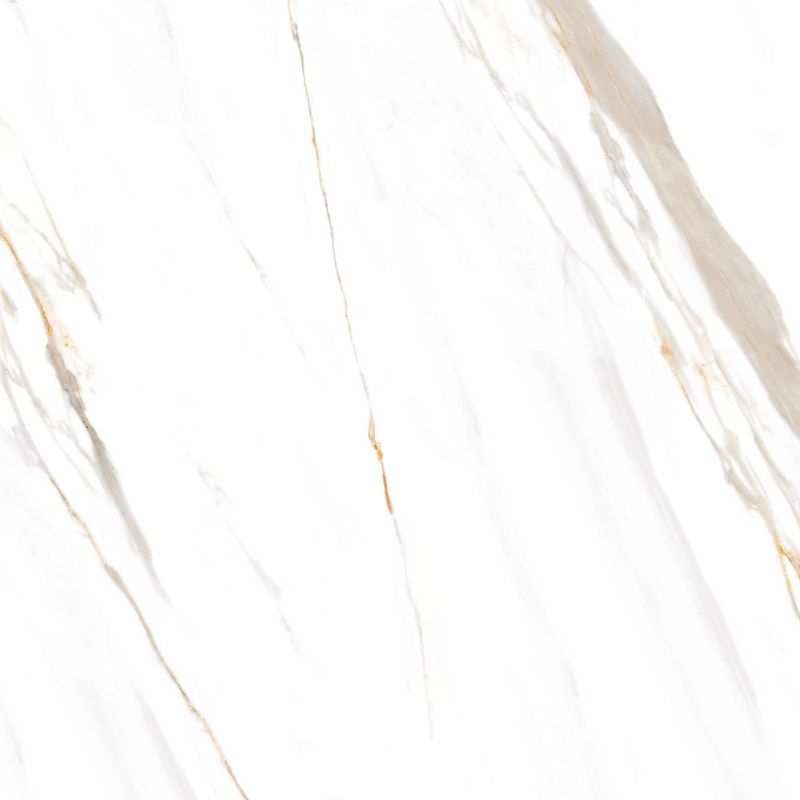 Piso-Calacata-Oro-VPR-374.002--Retificado-Polido-Branco-74x74cm-222m2