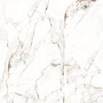 Piso-Elise-Retificado-Acetinado-Bege-54x54cm-260m2
