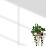 Revestimento-Classic-White-Retificado-Brilhante-Branco-35x72cm-202m2