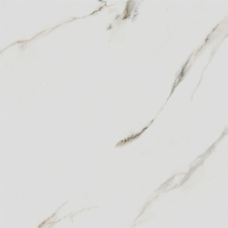 Porcelanato-Carrara-Gold-Retificado-Polido-Branco-71x71cm-252m2