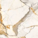Piso-Calacata-Gold-Retificado-Acetinado-Bege-86x86cm-220m2