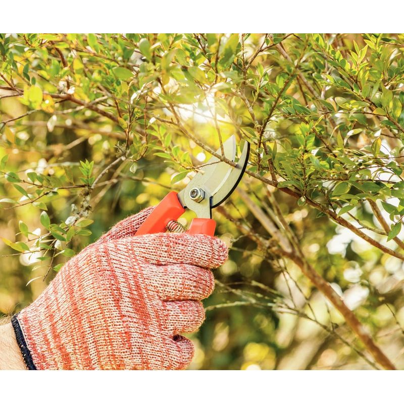 Tesoura-de-Poda-com-Lamina-Metalica-e-Cabo-Plastico-Tramontina