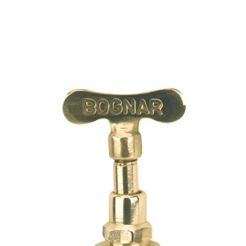 Registro-de-Pressao-Bruto-1400-1-2--DN15-Bognar