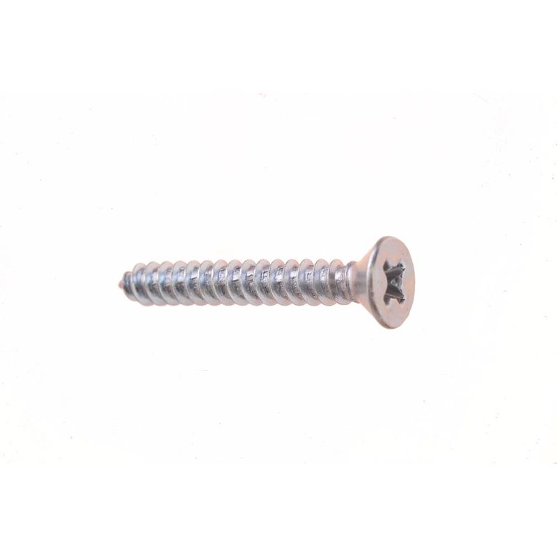 Parafuso-Auto-Atarraxante-Cabeca-Chata-Philips-55x45mm-200-Pecas