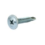Parafuso-Auto-Brocante-Cabeca-Flangeada-Philips-48x32mm-500-Pecas