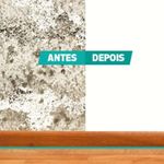 Tratamento-de-Parede-4-em-1-Anti-Mofo-1L-Protec