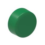 Cap-PPR-20mm-Tigre