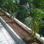 Guia-Cimenticio-para-Jardim-Natural-19x39x9cm-Itauara