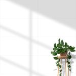 Revestimento-Classic-White-Retificado-Acetinado-Branco-35x72cm-202m2