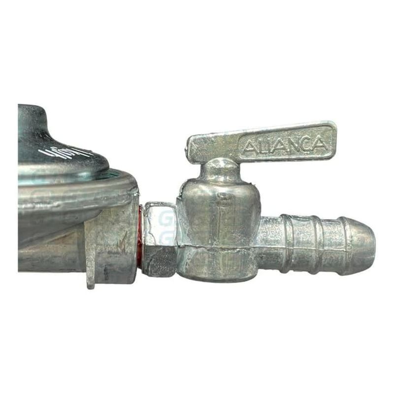 Regulador-Gas-Domestico-1kg-h-504-01-3-8--BM-Alianca