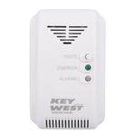 Detector-de-Gas-Natural-e-GLP-com-Sirene-Embutida-Bivolt