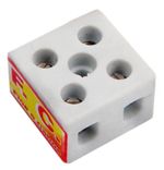 Conector-Porcelana-10mm²-Medio-2-Polos-FC