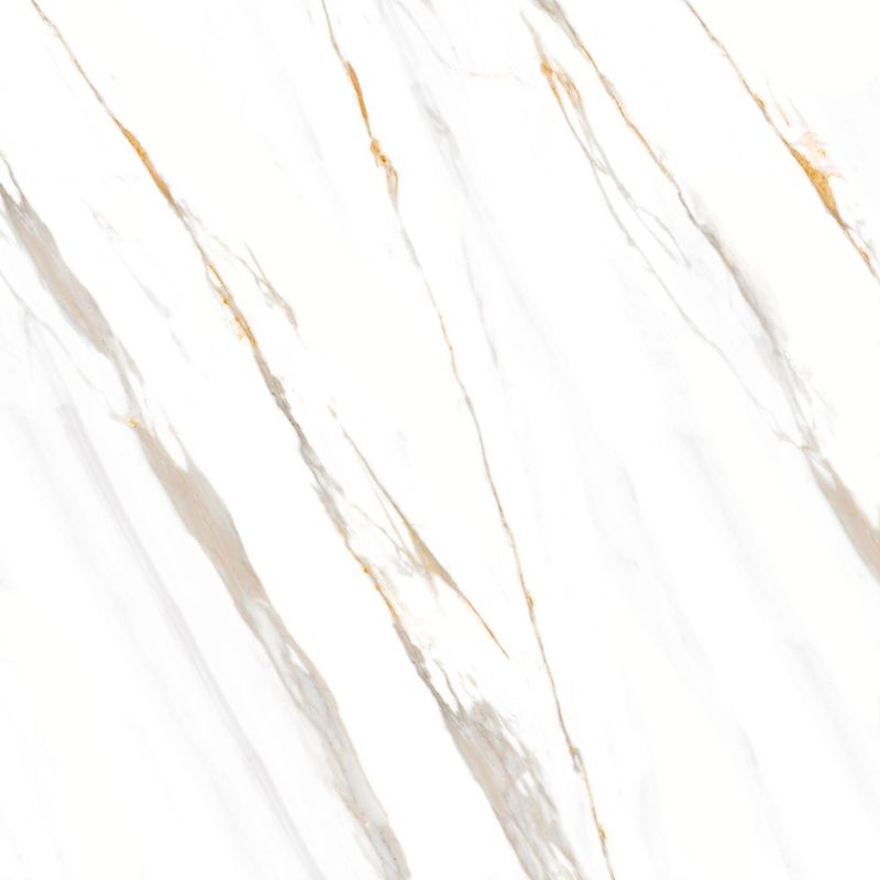 Piso-Calacata-Oro-VPR-374.002--Retificado-Polido-Branco-74x74cm-222m2