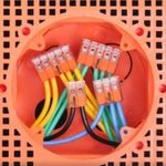Conector-Emenda-2-Polos-ate-6mm²-41A-IP20-Wago-Caixa-com-50-Pecas