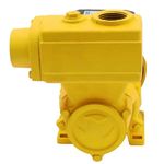 Bomba-de-Agua-Auto-Aspirante-TPS-60-Monofasica-1-2CV-127-220V-Ferrari