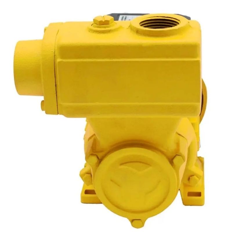 Bomba-de-Agua-Auto-Aspirante-TPS-60-Monofasica-1-2CV-127-220V-Ferrari