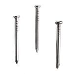 Prego-com-Cabeca-Polido-15x18-1Kg