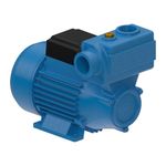 Bomba-de-Agua-Auto-Aspirante-DPA-40-Monofasica-1-2CV-127-220V-Dancor
