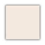 Piso-RT-170.045-Retificado-Brilhante-Bege-56x56cm-227m2