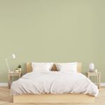 Tinta-Economica-Acrilica-Fosco---Desempenho-Verde-Vale-36L-Coralar