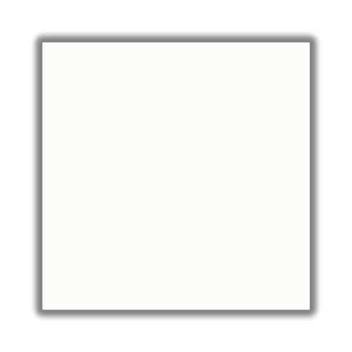Piso Branco Clássico Retificado Brilhante Branco 54x54cm 2,60m2