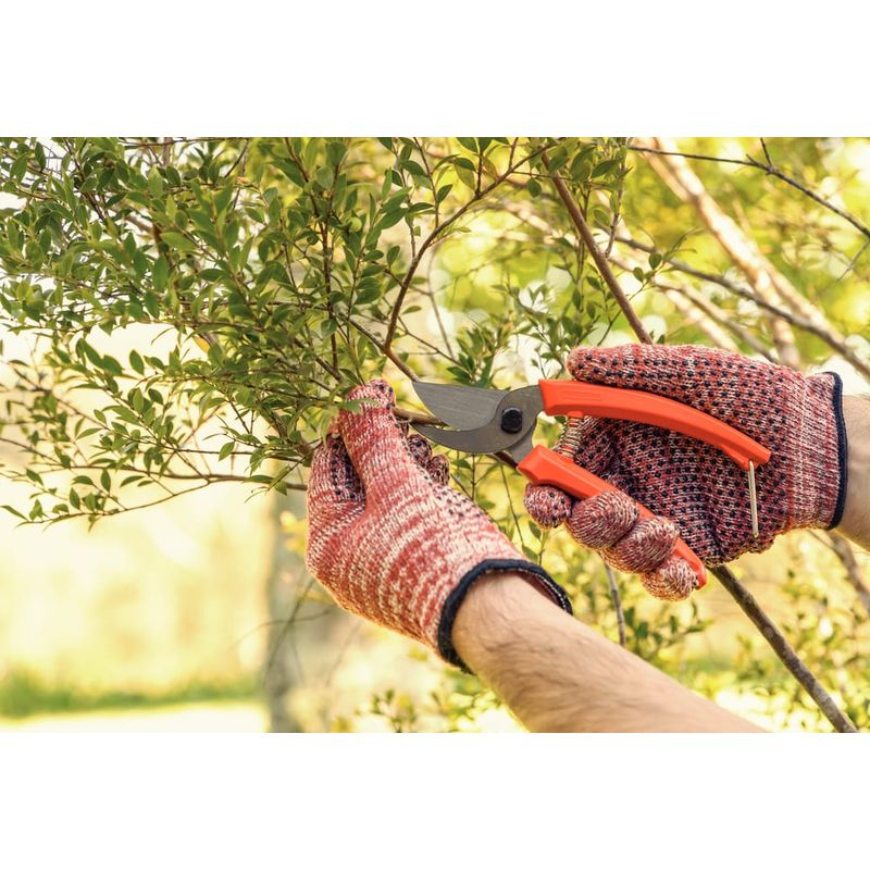 Tesoura-de-Poda-com-Lamina-Metalica-e-Cabo-Plastico-Tramontina