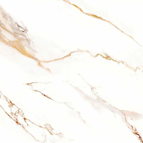 Piso Calacata Gold Retificado Polido Branco 56x56cm 2,21m2