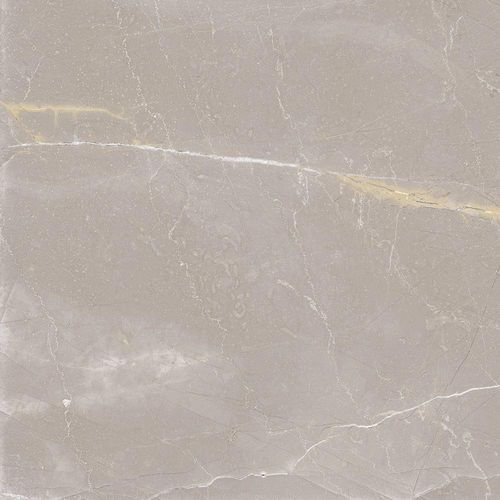 Piso Galileu Gris Retificado Acetinado Cinza 54x54 2,60m2