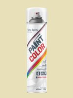 Tinta-Spray-Uso-Geral-Verniz-Incolor-400ml-Paintcolor