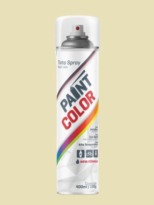 Tinta Spray Uso Geral Verniz Incolor 400ml Paintcolor