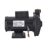 Bomba-de-Agua-Centrifuga-Pratika-CP-6R-10CV-127-220-254V-Dancor