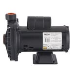 Bomba-de-Agua-Centrifuga-Pratika-CP-6R-10CV-127-220-254V-Dancor