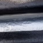 Fita-Asfaltica-Aluminio-Multiuso-Cinza-15cm-10m-Vedacit