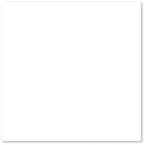 Piso Everest Bold Acetinado Branco 44x44cm 2,50m2