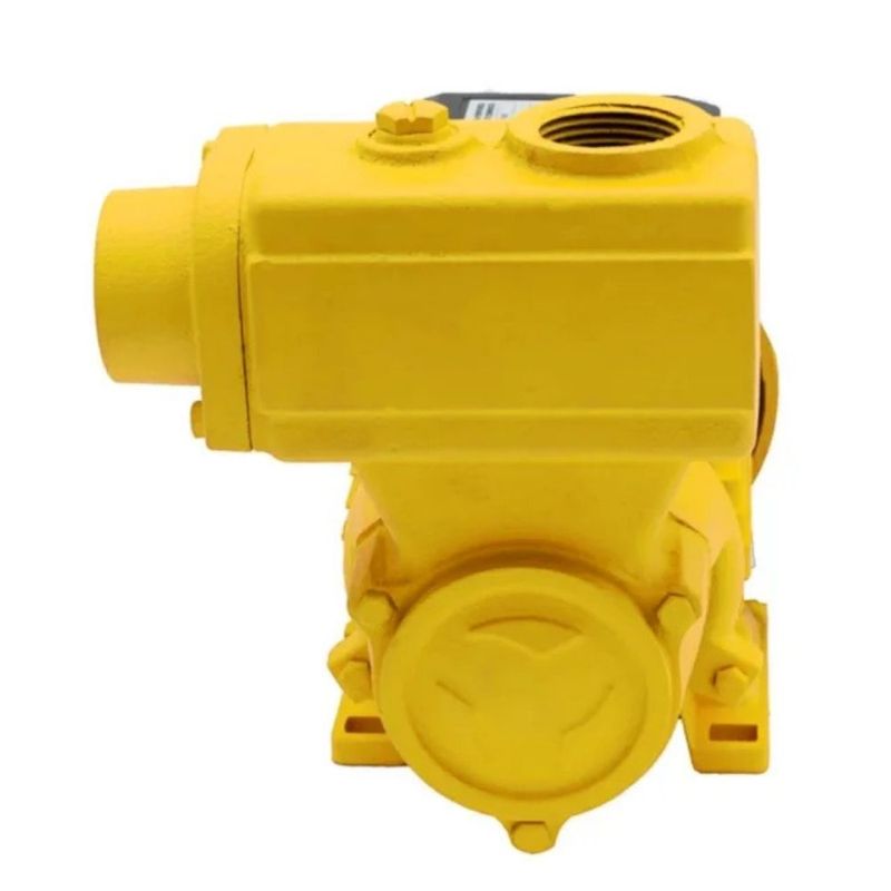 Bomba-de-Agua-Auto-Aspirante-TPS-80-Monofasica-1CV-127-220V-Ferrari