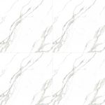Piso-Calacata-Light-Retificado-Polido-Branco-85x85cm-214m2