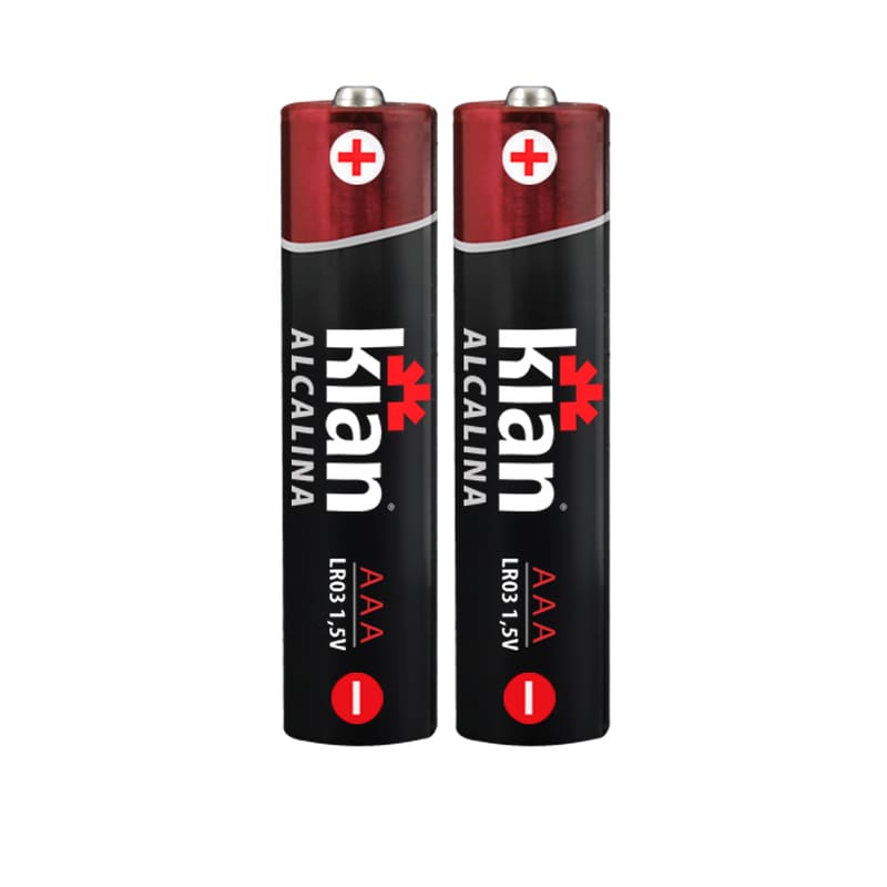 Pilha-Alcalina-1.5V-Tipo-AAA-Blister-com-2-unidades
