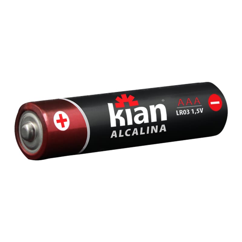 Pilha-Alcalina-1.5V-Tipo-AAA-Blister-com-2-unidades