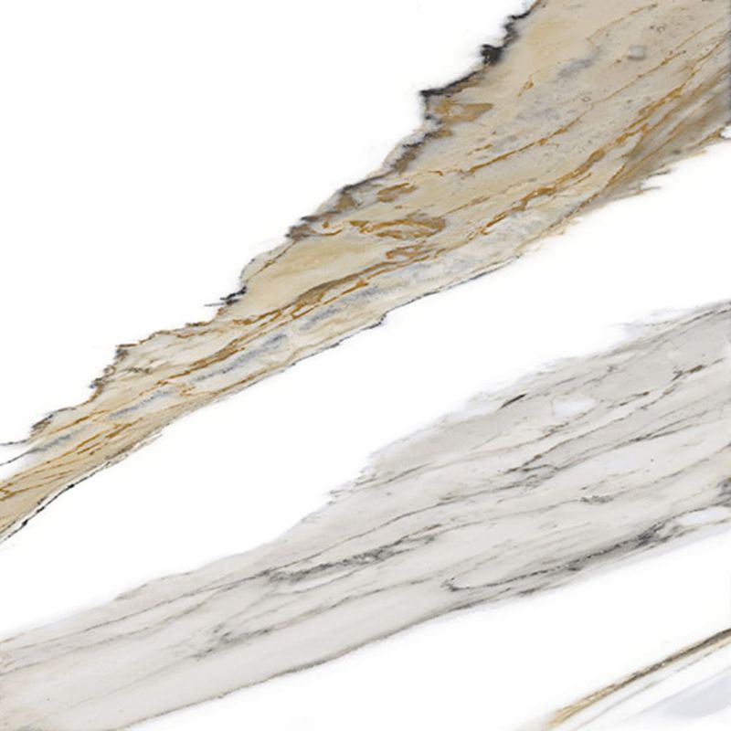 Piso-Ravello-Oro-Retificado-Polido-Branco-90x90cm-245m2