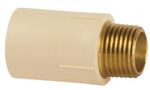 Conector-de-Transicao-Rosca-Femea-Macho-CPVC-DN28-x-1--Amanco