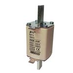 Fusivel-Ceramico-NH2-250A-Jng