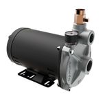 Bomba-Dagua-Ejetora-EP-2-0-Monofasica-1CV-Bivolt-Dancor