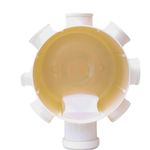 Corpo-da-Caixa-Sifonada-150-x-150-x-50mm-Krona