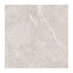 Piso-Alpi-Silver-Retificado-Brilhante-Cinza-55x55cm-215m2